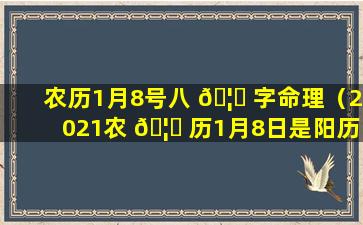 农历1月8号八 🦍 字命理（2021农 🦋 历1月8日是阳历多少）